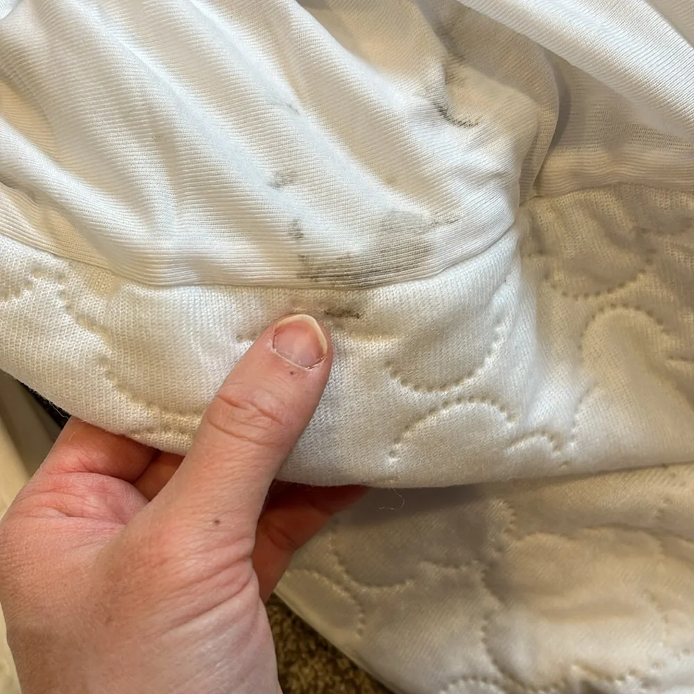 Infant crib mattress cover Sealy